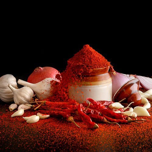 whatsapp image 2026 02 25 at 11.24.33 am (3)